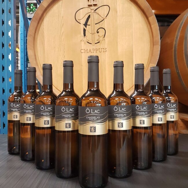galerie photos · Arc-en-Vins