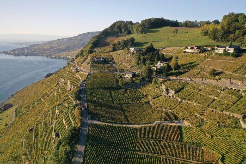 Vignes en terrasses de Lavaux